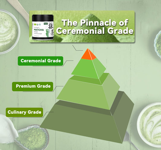 Ceremonial Grade Matcha Powder 30g | Organic and Halal