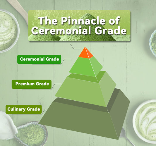 Ceremonial Grade Matcha Powder 20g | European Standard