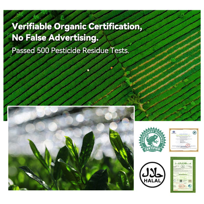 Ceremonial Grade Matcha Powder 50g | European Standard