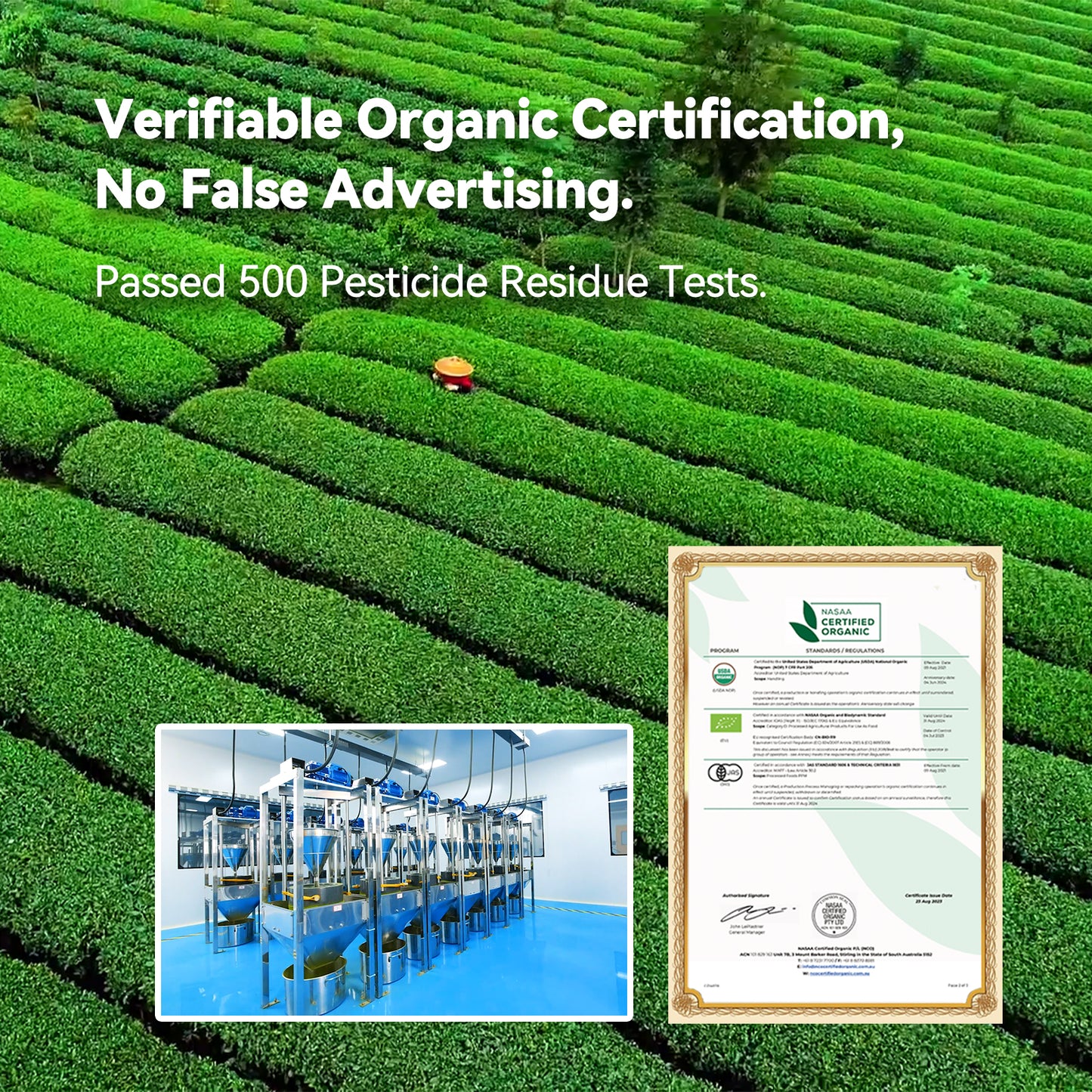 Ceremonial Grade Matcha Powder 30g | Organic and Halal