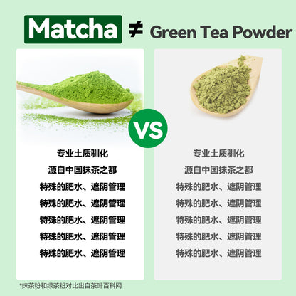 Fanji First Haverst Matcha Powder 20g | Ceremonial Grade | Halal Certified
