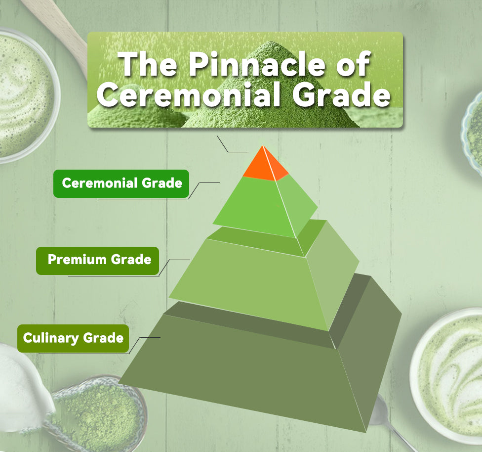 Ceremonial Grade Matcha Powder 20g | European Standard