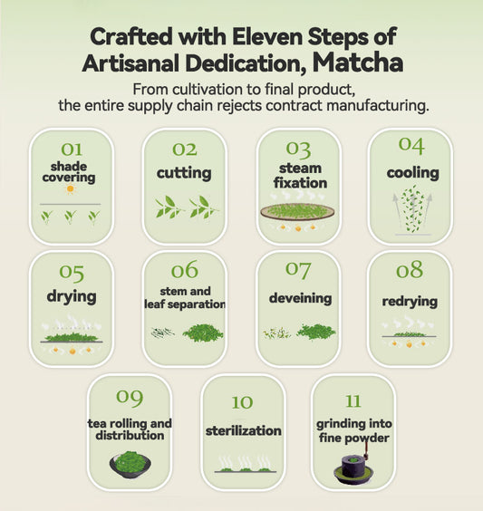 Ceremonial Grade Matcha Powder 50g | European Standard